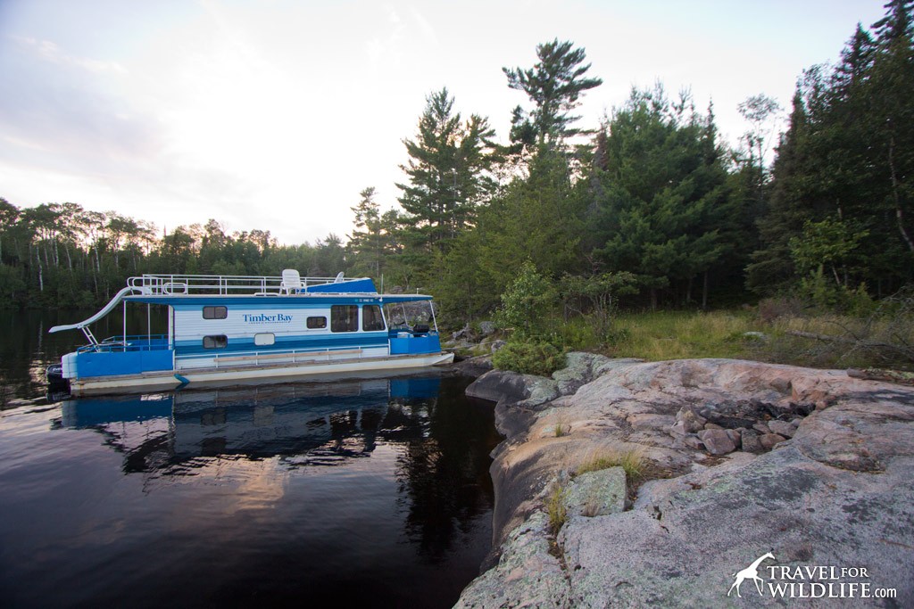 There are lots of remote campsites with fire rings along the shore of Birch Lake