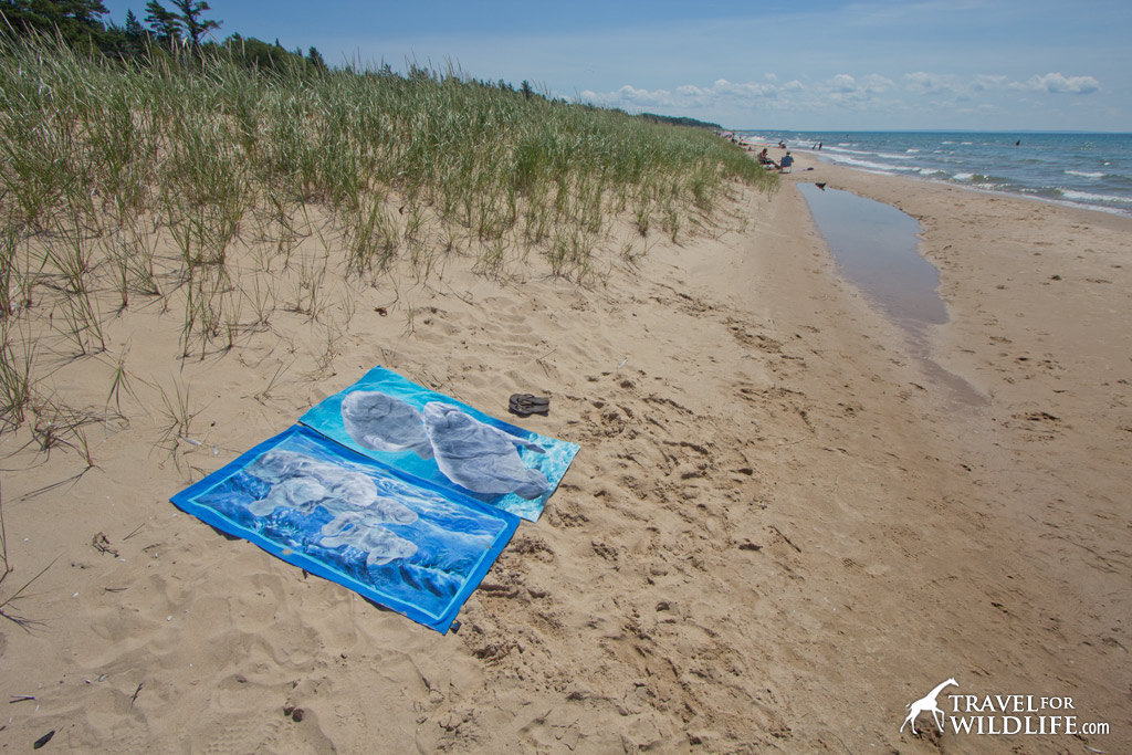 Beach on Lake Michigan
