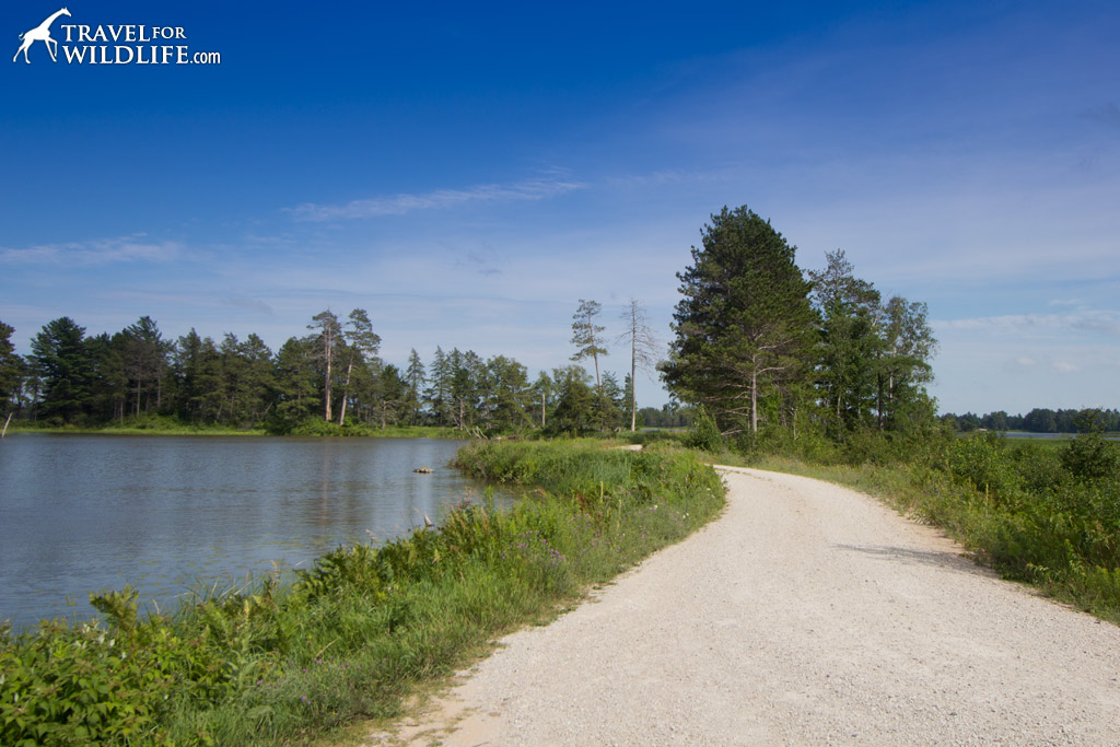 Marsh drive at Seney NWR