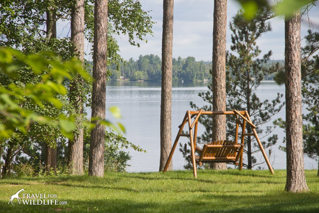 Relax in front of your cabin on a swing overlooking the lake