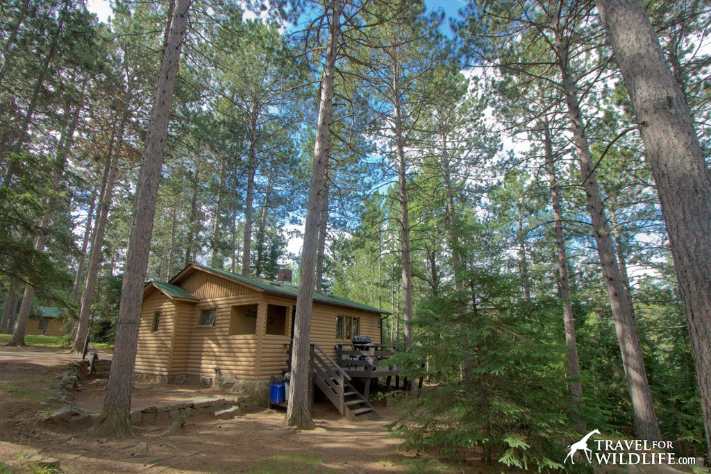 One of the rental cabins at Timber Bay