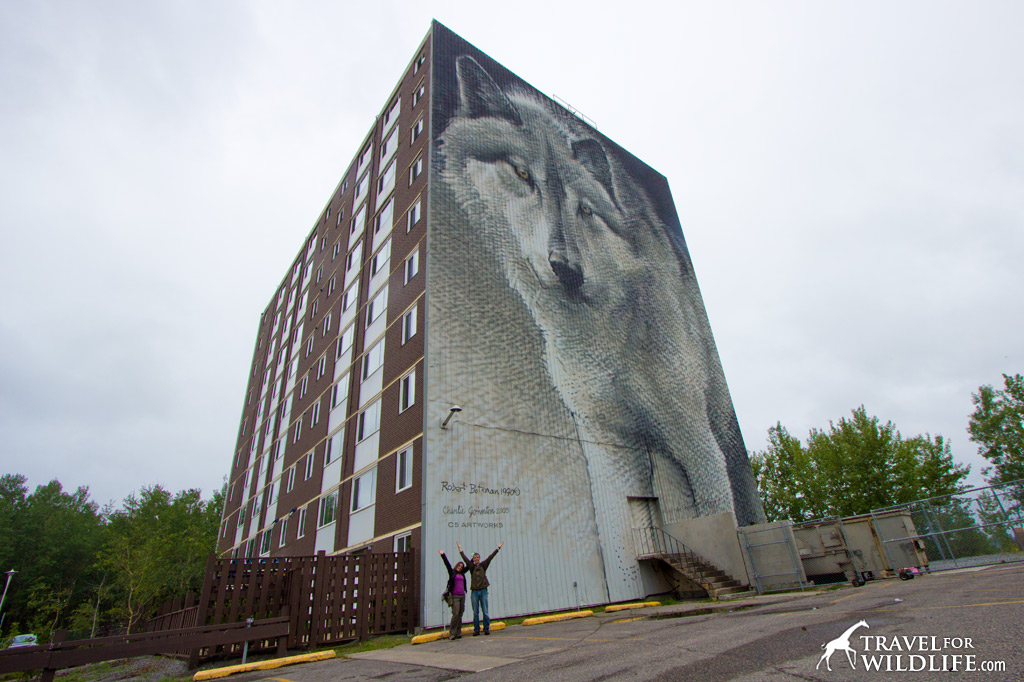 Check out Thompson's amazing wolf mural!