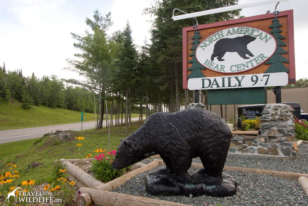 The North American Bear Center in Ely, MN