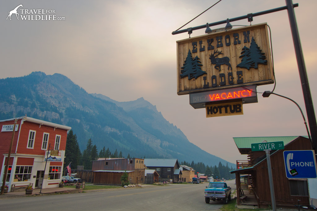 Quaint lodging options like the Elk Horn Lodge abound in Cooke City and Silver Gate
