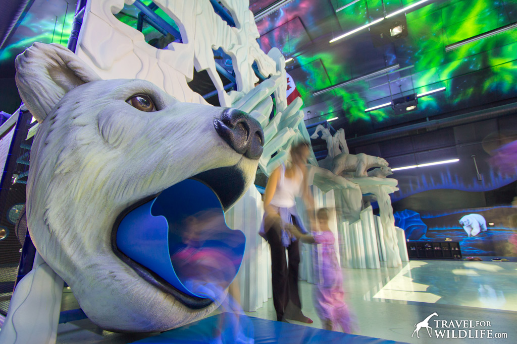 The Polar Playground at the Journey to Churchill exhibit is a blast!