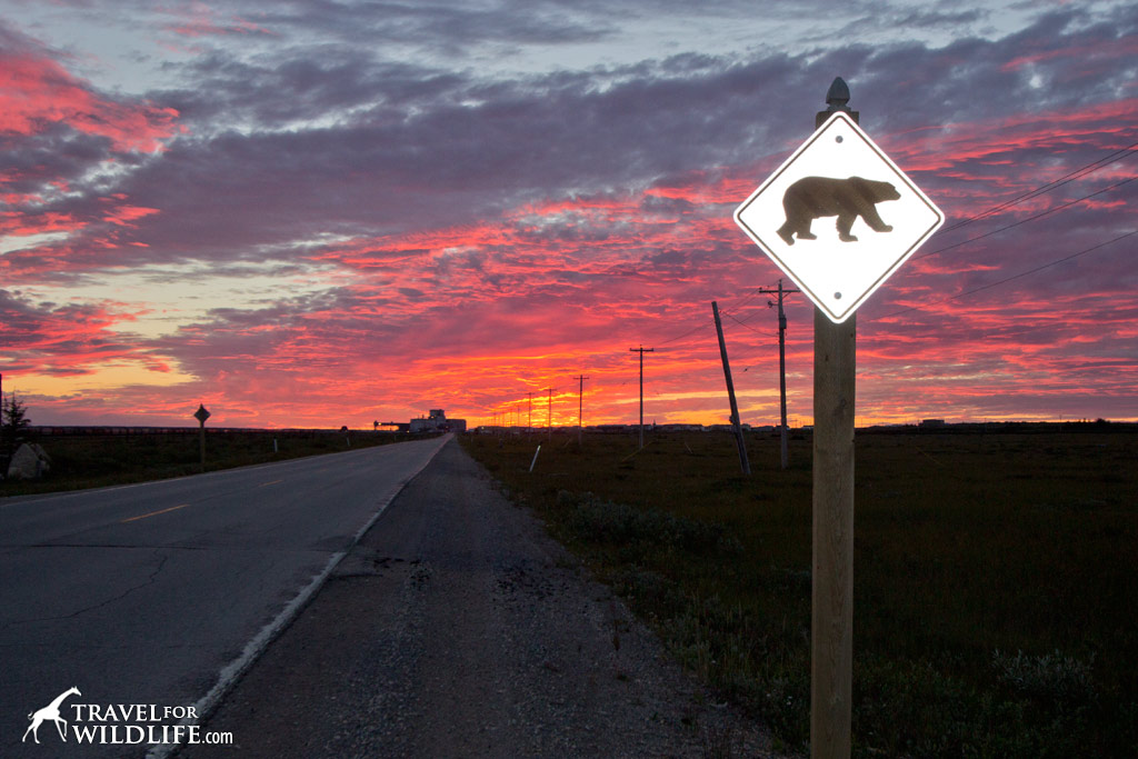 There are roads IN Churchill but not TO Churchill!