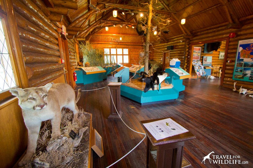 The visitor center at Riding Mountain National Park, Manitoba