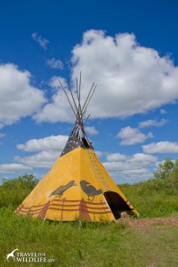 A tipi at Fort Whyte Alive