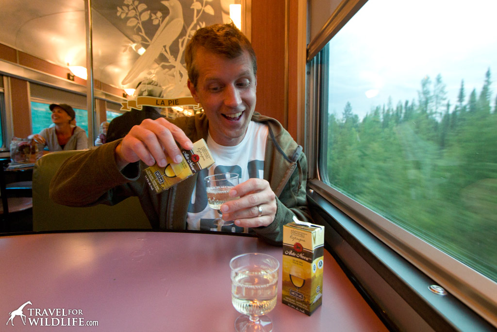 Drinking fine wine on the train