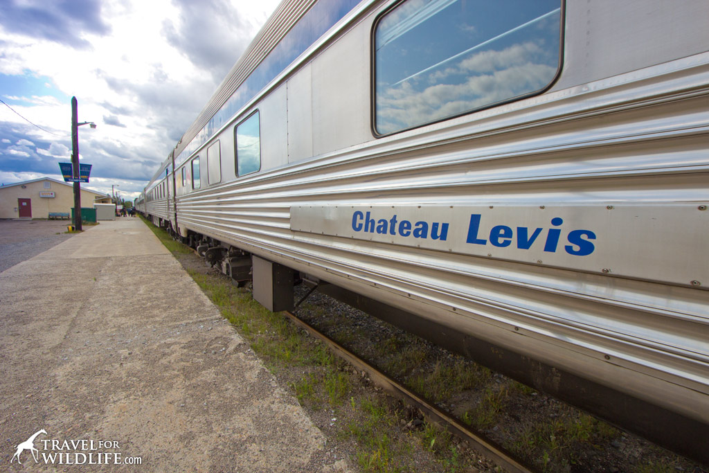 Train in Thompson station