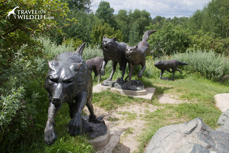 wolf statues