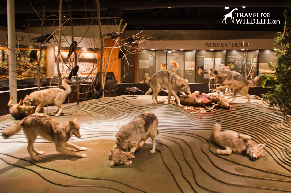 One of the exhibits at the Center