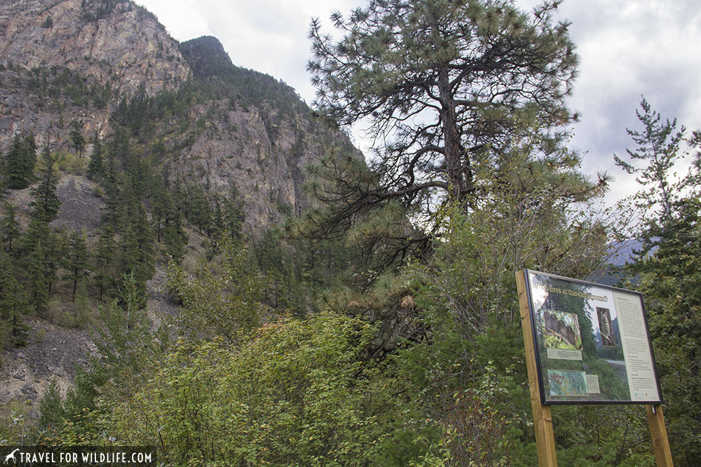 Informational board by a mountain