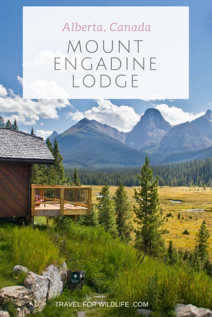 When visiting the Spray Valley Provincial Park in Alberta, Canada, stay at Mount Engadine Lodge and treat yourself at this gorgeous mountain retreat.