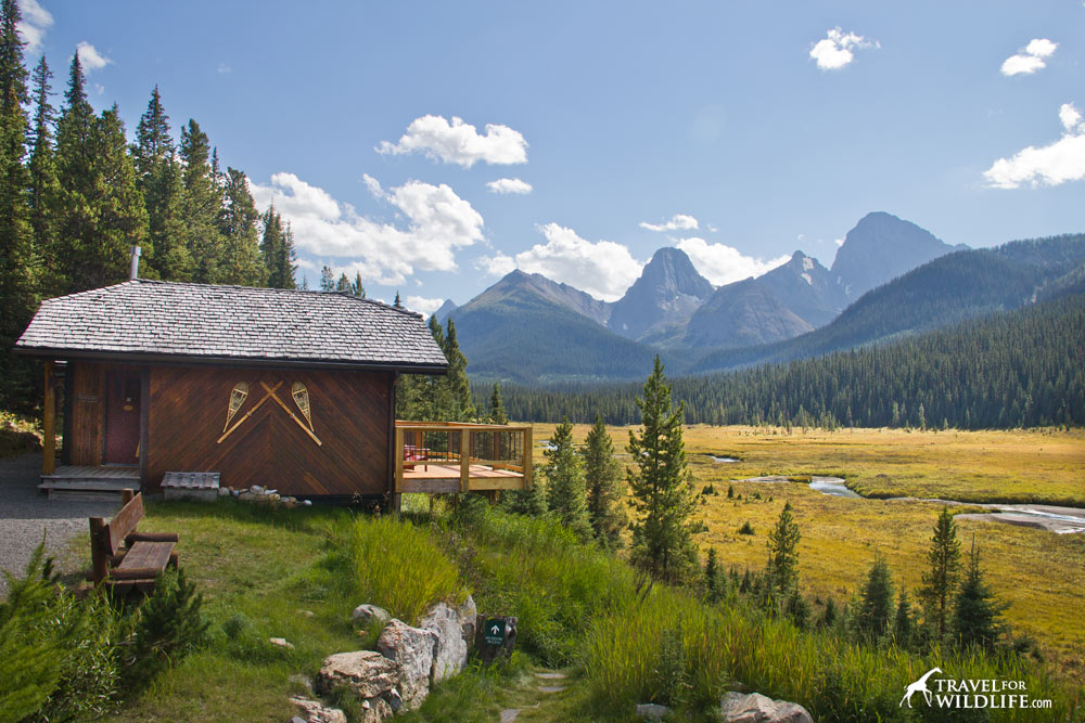 Mt Engadine cabins are the perfect Canmore cabins for your stay in Spray Valley Provincial Park