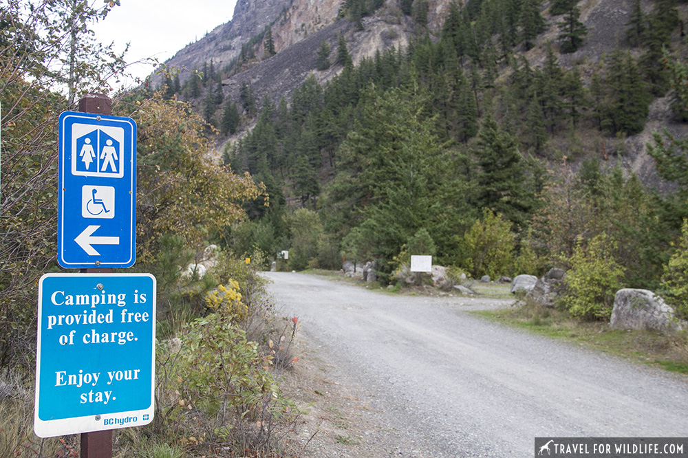 entrance road to a BC campsite