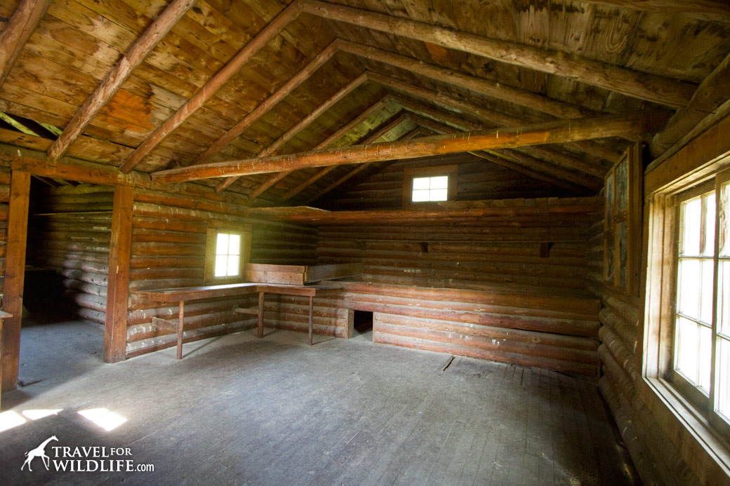 Inside Grey Owl's cabin