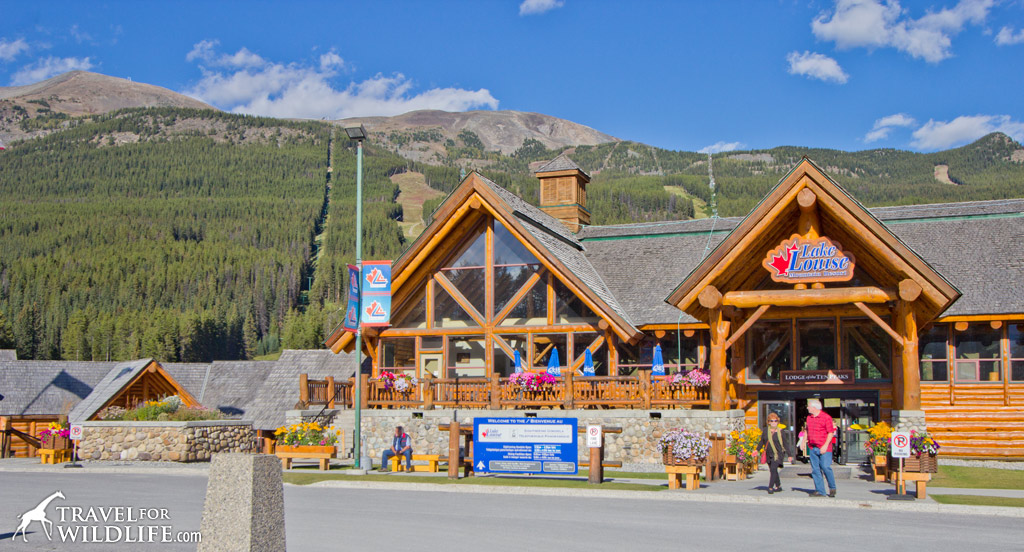 The lodge at the Lake Louise Gondola