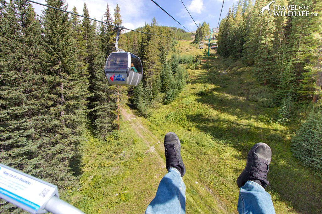 Not recommended if you're very afraid of heights.