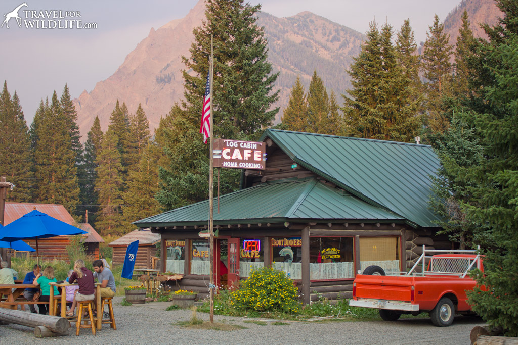 The Log Cabin Cafe in Silver Gate: scenic, delicious, & environmentally responsible!