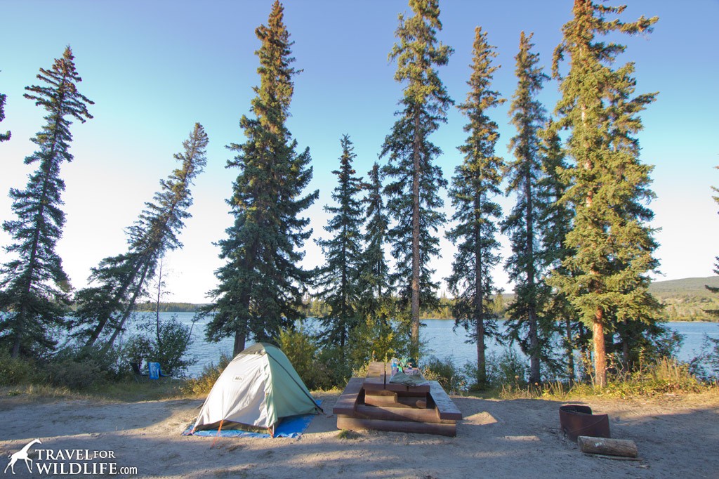 free Camping in BC