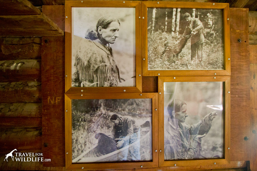 Grey Owl photos at his cabin