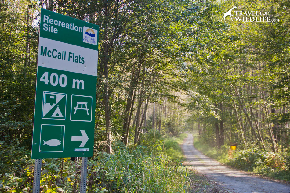 Recreation Site sign, the sign to free camping in BC