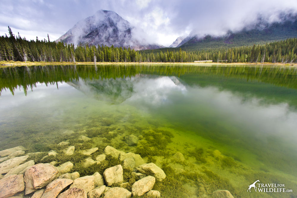 Visit the many lakes found in the area