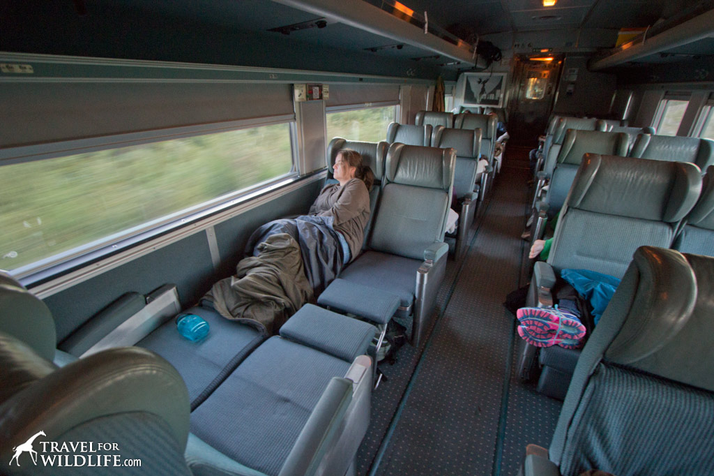 Train Winnipeg to Churchill on the Via Rail train economy seats