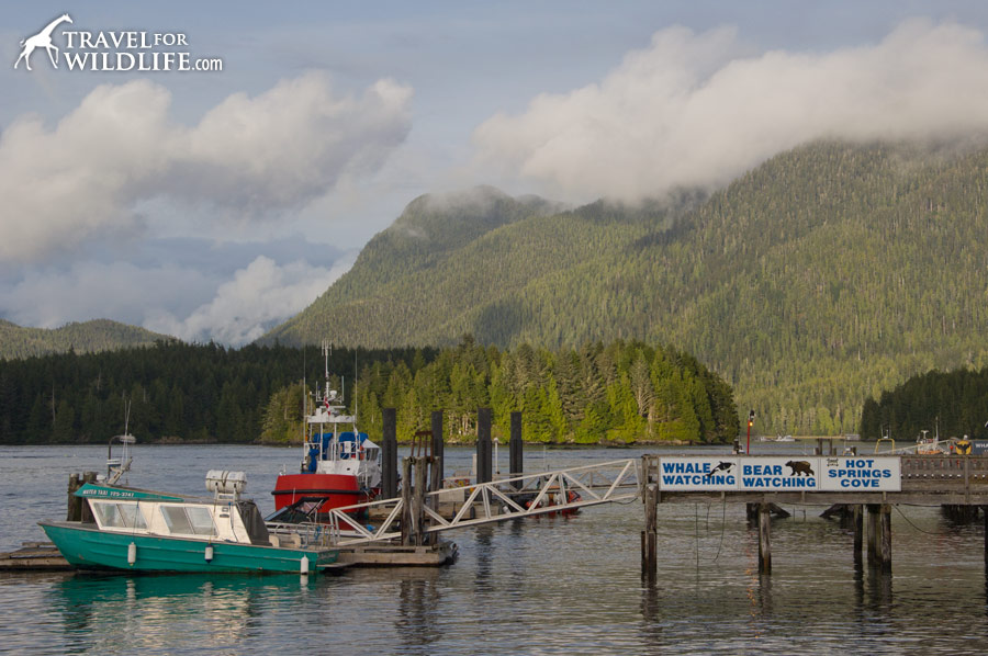 Fishing boats in Tofino harbor