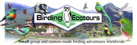 Birding Ecotours