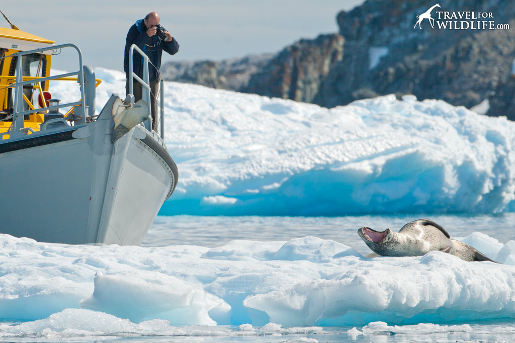 SA Luxury Expeditions Reviews Patagonia Tours - Travel For Wildlife