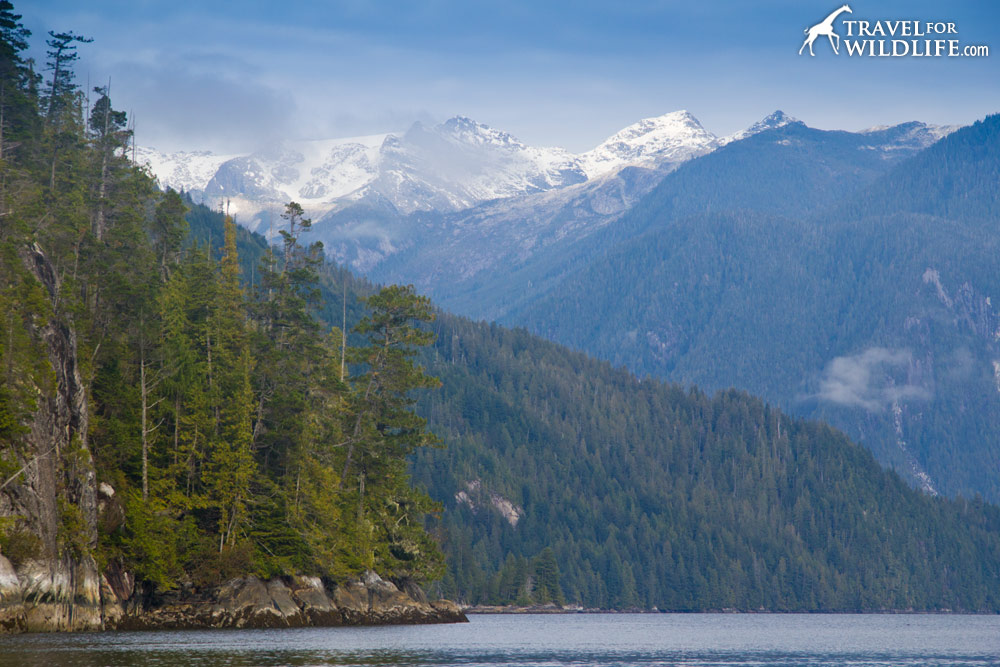 Nimmo Bay Resort, Where the Great Bear Rainforest runs into the wild Pacific Ocean