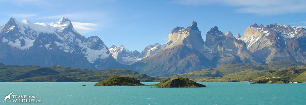 Stunning mountain and glacier views at Torres del Paine