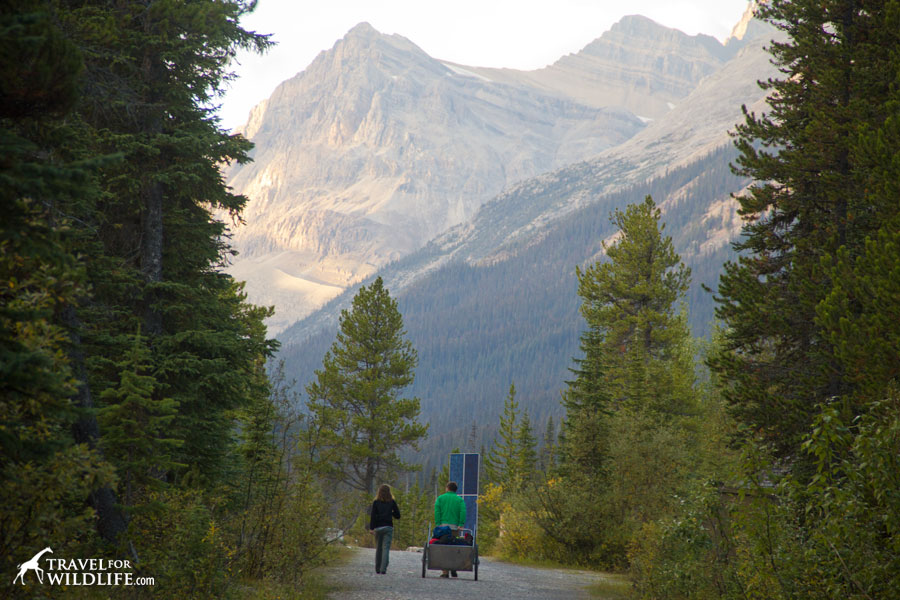 Camping at Yoho National Park, BC