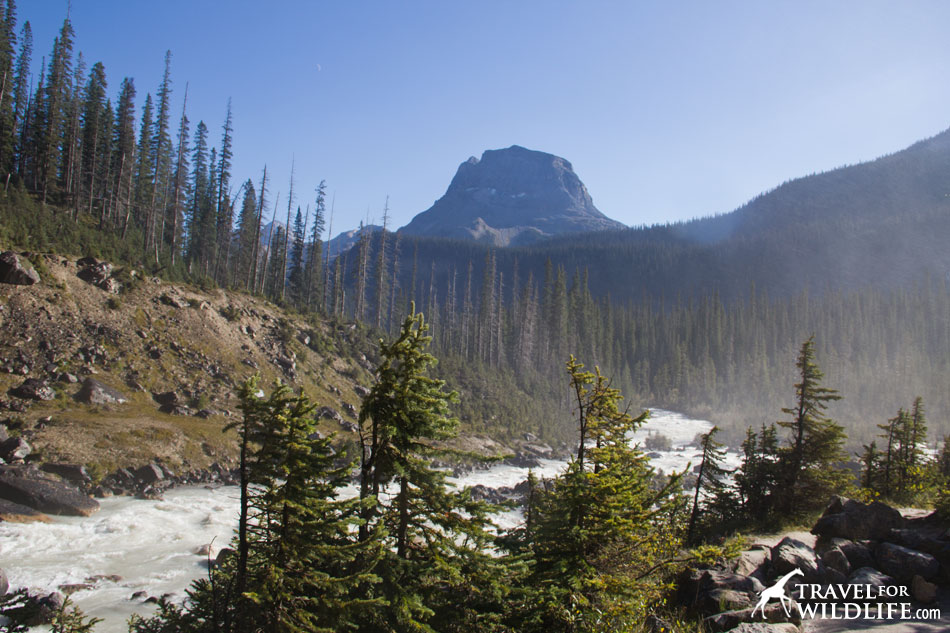 Yoho river