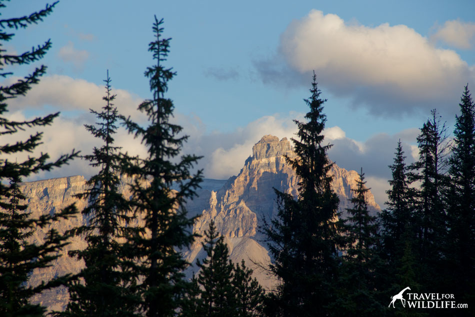 The impressive view south of Takakkaw Falls campground