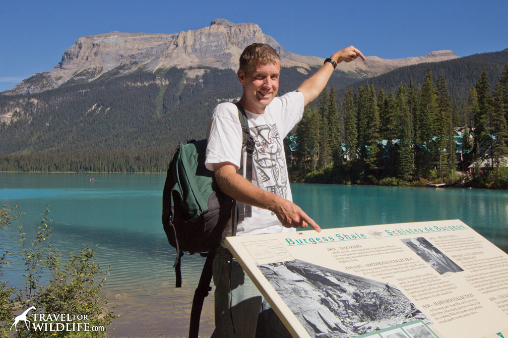 Emerald lake view