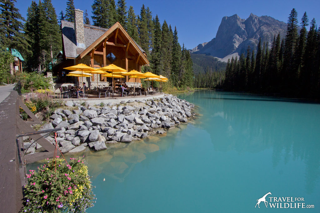 The beautiful Emerald Lake