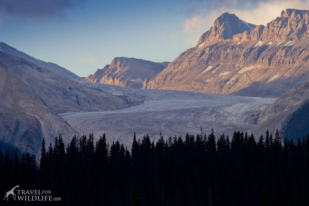 Yoho Glacier in the distance