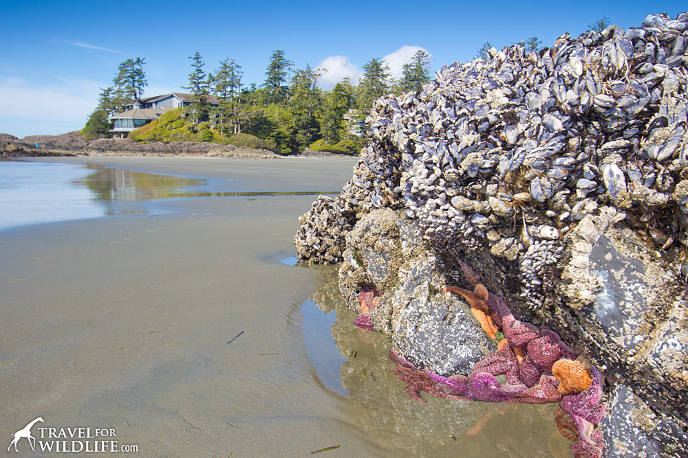 The Wickaninnish Inn, Tofino