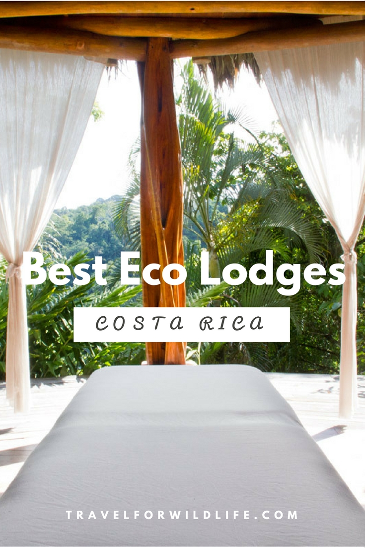 A selection of our favorite Costa Rica eco lodges which are located in the Osa Peninsula. Their proximity to the wildlife rich Corcovado National Park and the beach makes them the perfect location for your Costa Rica vacation.