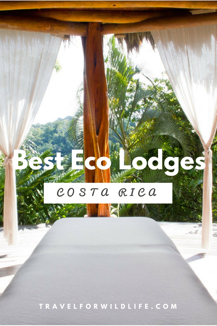 A selection of our favorite Costa Rica eco lodges which are located in the Osa Peninsula. Their proximity to the wildlife rich Corcovado National Park and the beach makes them the perfect location for your Costa Rica vacation. A selection of our favorite Costa Rica eco lodges which are located in the Osa Peninsula. Their proximity to the wildlife rich Corcovado National Park and the beach makes them the perfect location for your Costa Rica vacation.