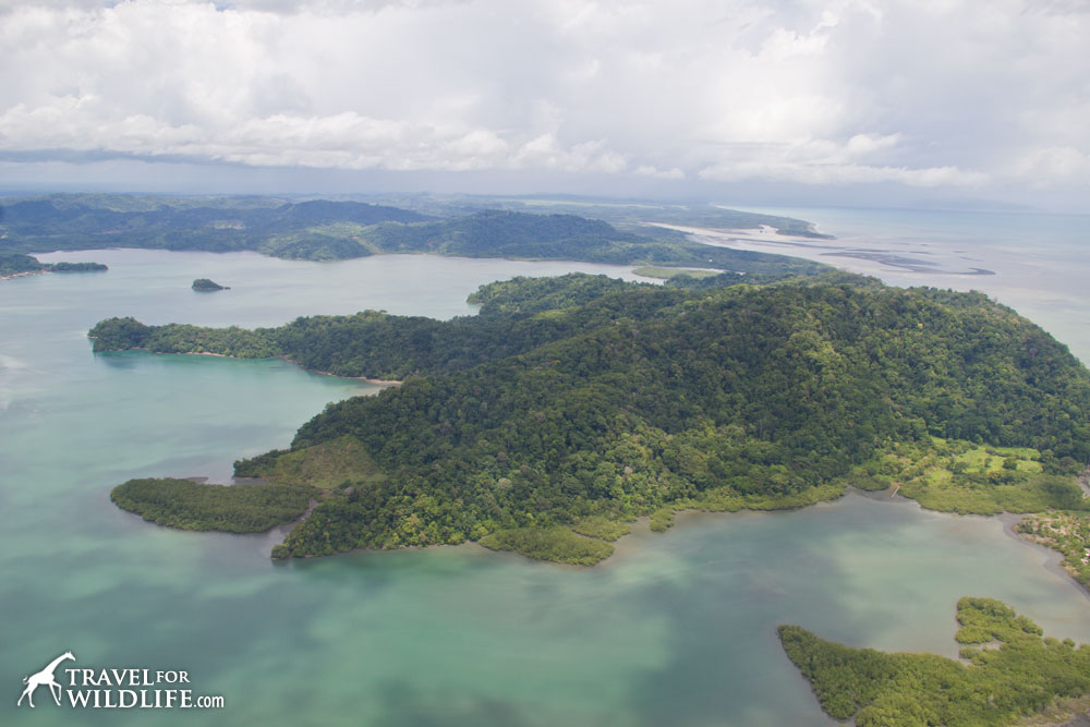 Osa Peninsula from the air