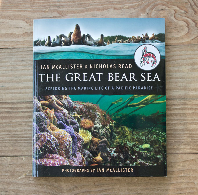 Exploring the Marine Life of a Pacific Paradise The Great Bear Sea