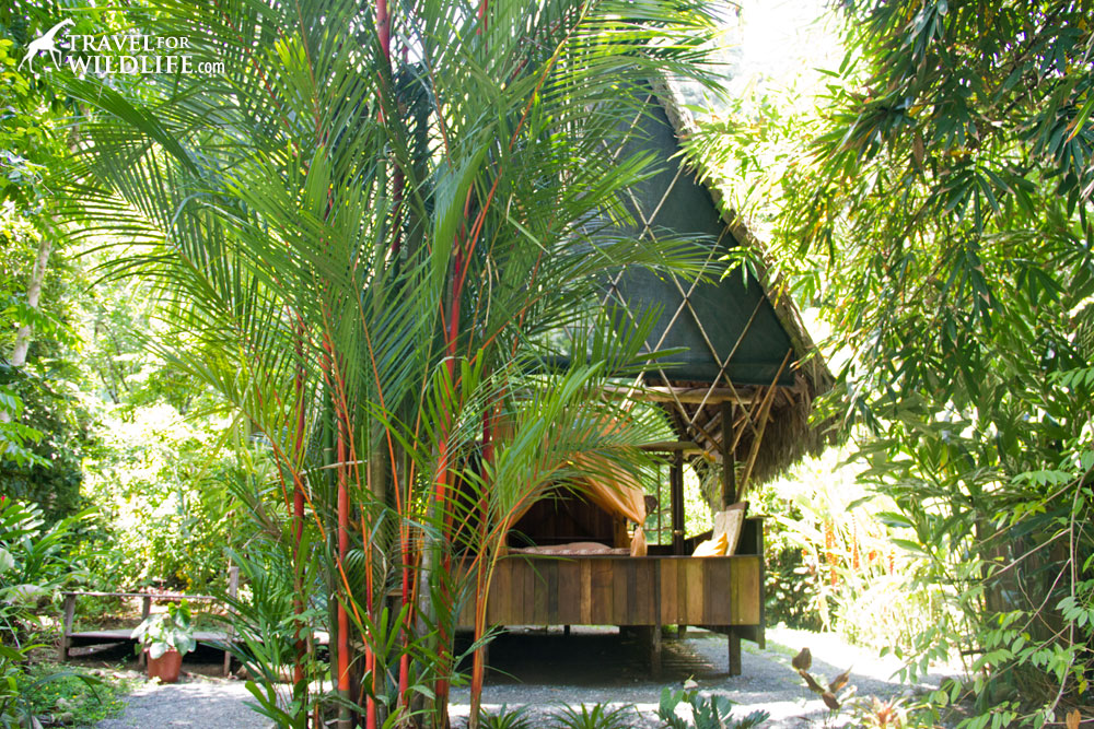 One of Finca Exotica huts
