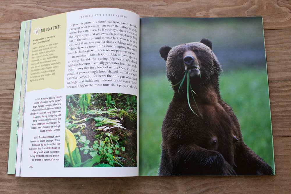 Inside Bear book