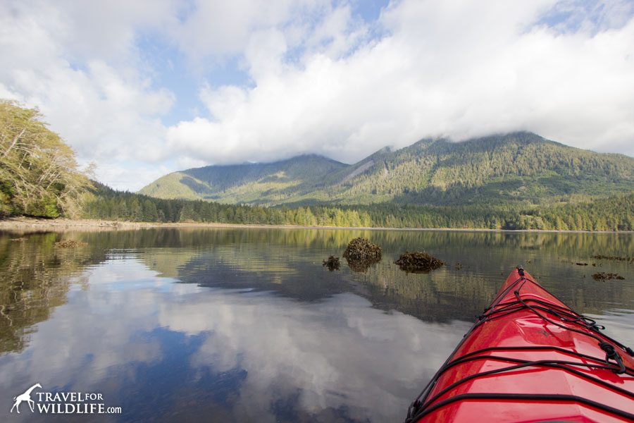 kayaking the Great Bear Rainforest, BC