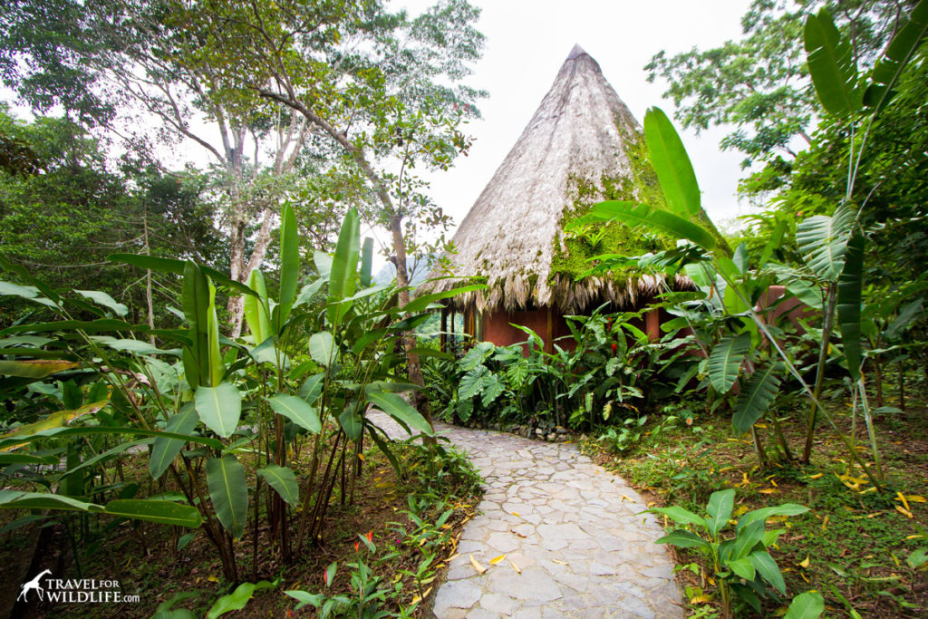 cabin in La Luna eco lodge