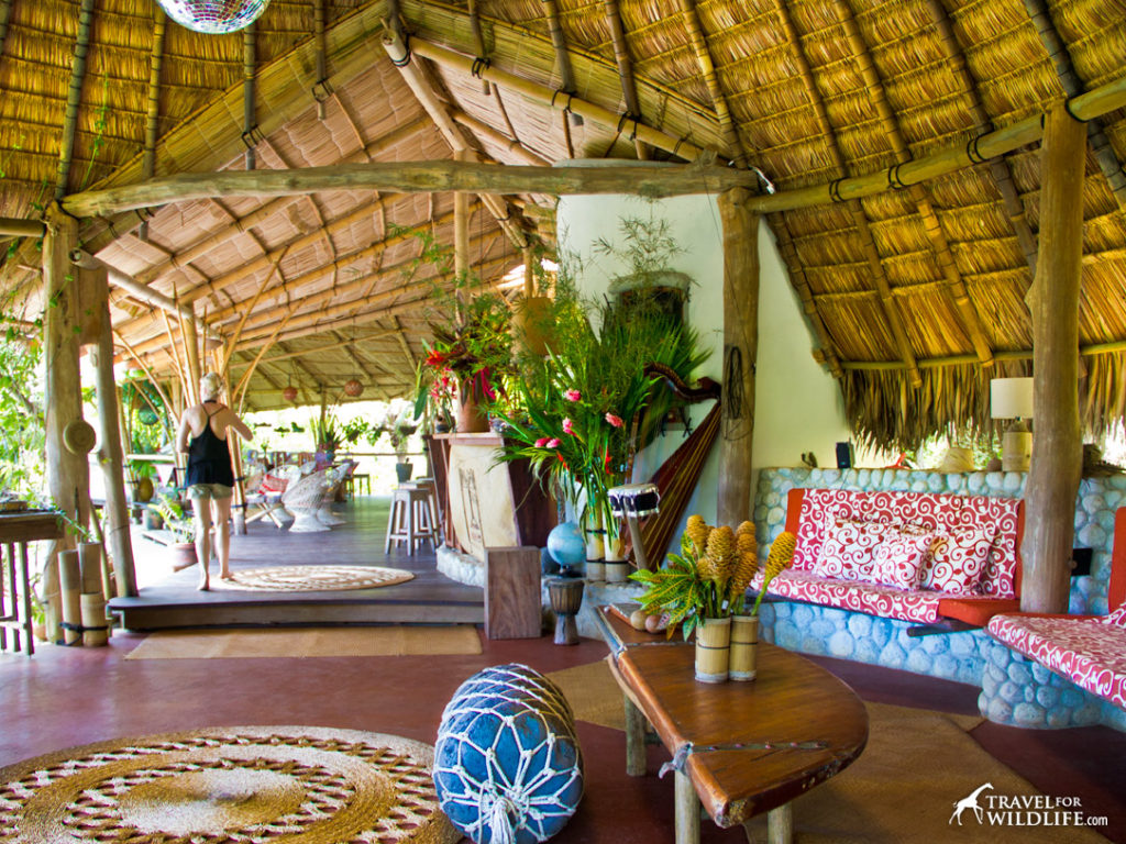 Colorful main area at Finca Exotica